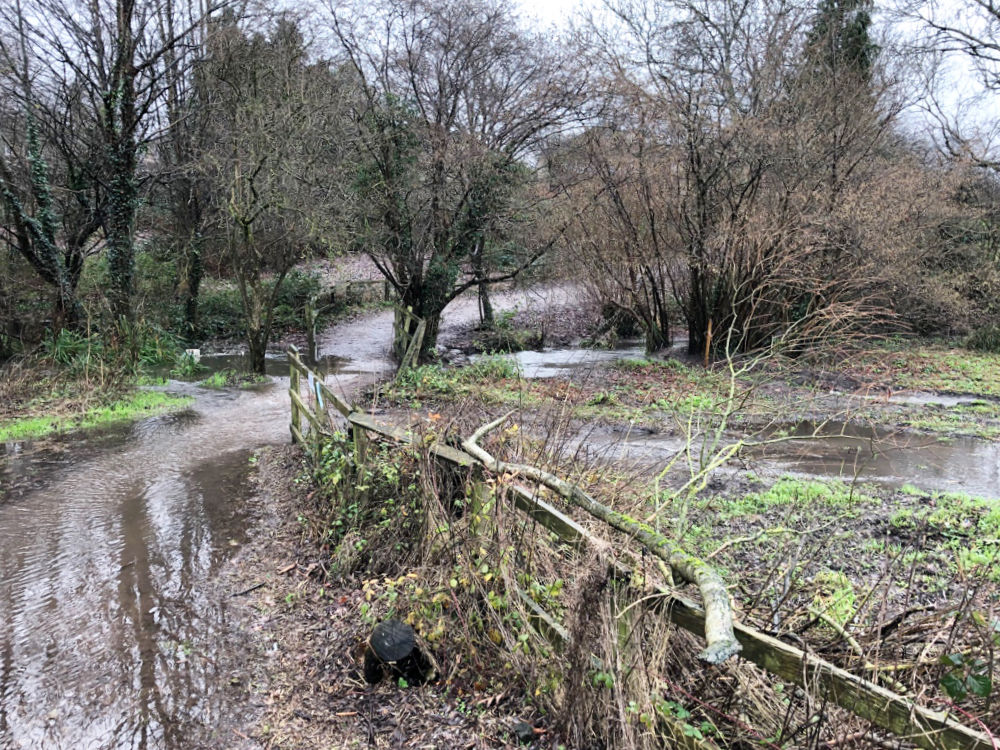 Looking toward high floodwater covering wetland and a pathway
