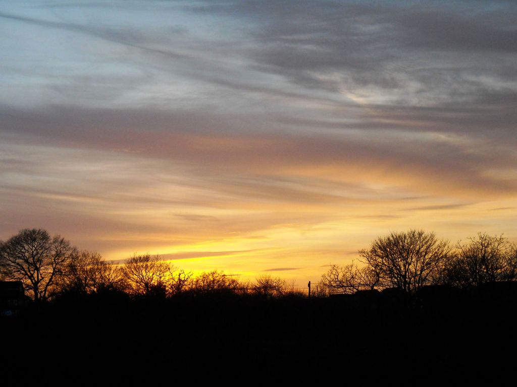 A beautiful blue and orange sky with woodland in silhouette