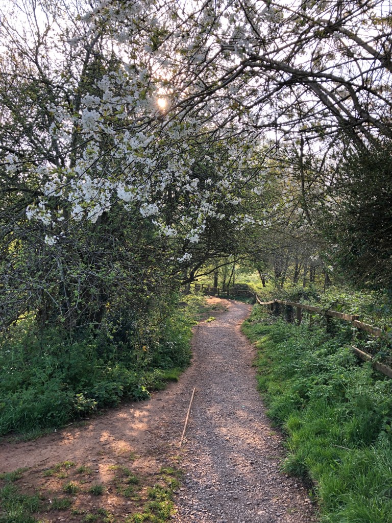 Looking down a path winding into a valley