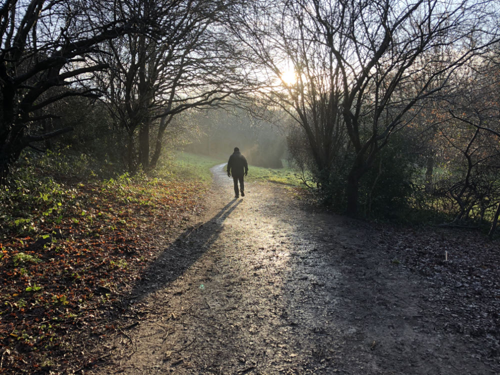 A lone person walks along a pathway toward sunlit fields